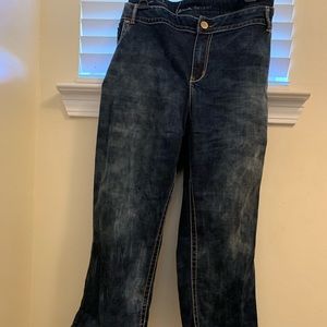 Lane Bryant genius fit jeans